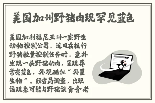 麻豆精产三产区区别蘑菇